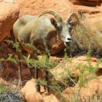 Ultimate Adventure Travel Bucket List Ideas